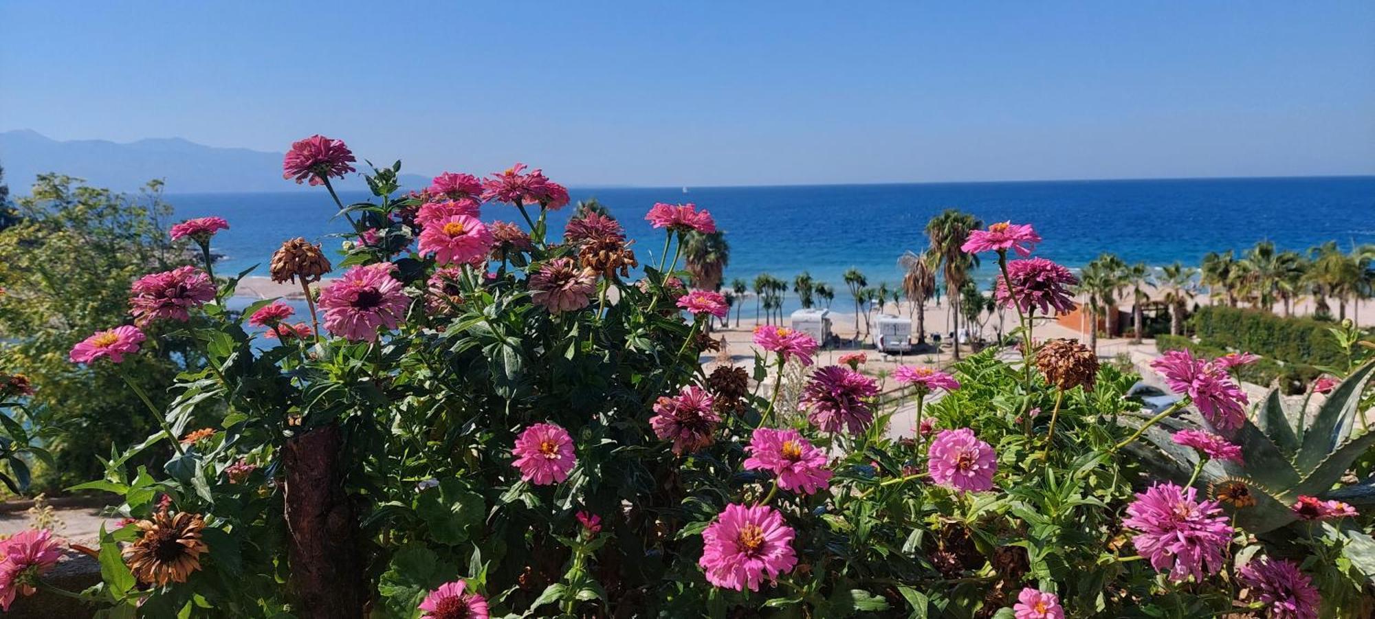 Apartment Tinka In Saranda Dış mekan fotoğraf